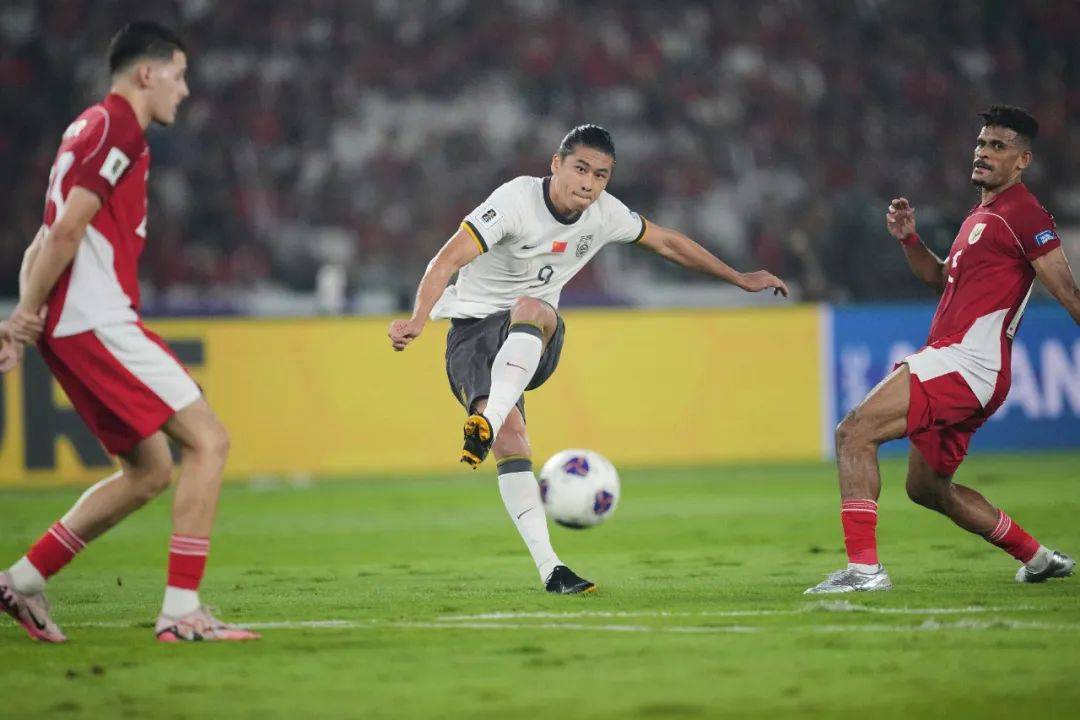 九游体育app-国足确定无缘 2026 世界杯